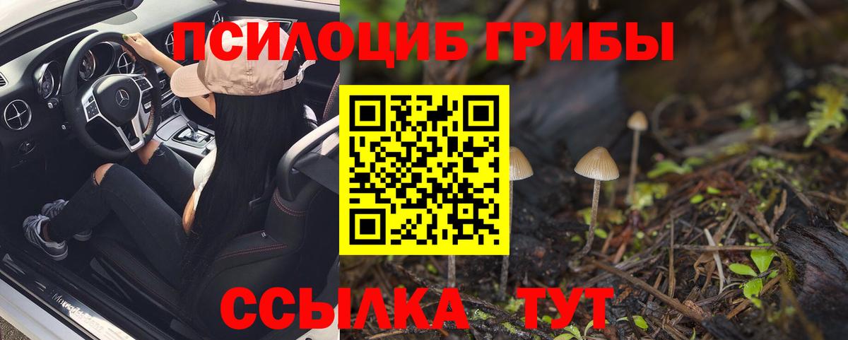 Арсеньев  Галлюциногенные грибы Cubensis  Вход с VPN 